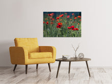Laden Sie das Bild in den Galerie-Viewer, Leinwandbild Wilder Mohn