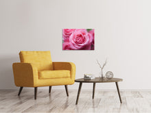 Laden Sie das Bild in den Galerie-Viewer, Leinwandbild Rosen Makro