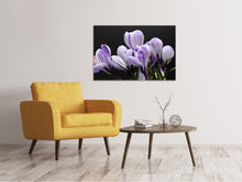 Laden Sie das Bild in den Galerie-Viewer, Leinwandbild Der Krokus