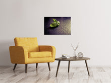Laden Sie das Bild in den Galerie-Viewer, Leinwandbild Basilikum Blätter