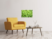 Laden Sie das Bild in den Galerie-Viewer, Leinwandbild Alles Basilikum