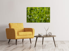 Laden Sie das Bild in den Galerie-Viewer, Leinwandbild Frischer Thymian