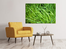 Laden Sie das Bild in den Galerie-Viewer, Leinwandbild Frischer Schnittlauch XL