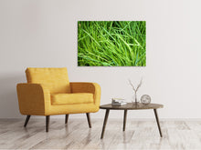 Laden Sie das Bild in den Galerie-Viewer, Leinwandbild Frischer Schnittlauch XL