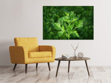 Laden Sie das Bild in den Galerie-Viewer, Leinwandbild Frische Petersilie