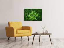 Laden Sie das Bild in den Galerie-Viewer, Leinwandbild Frische Petersilie