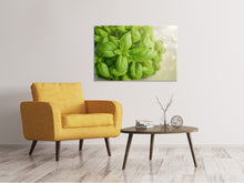 Laden Sie das Bild in den Galerie-Viewer, Leinwandbild Ein Strauss Basilikum