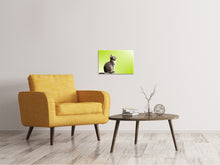 Laden Sie das Bild in den Galerie-Viewer, Leinwandbild Pop Art Katze XL