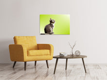 Laden Sie das Bild in den Galerie-Viewer, Leinwandbild Pop Art Katze XL