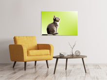Laden Sie das Bild in den Galerie-Viewer, Leinwandbild Pop Art Katze XL