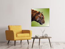 Laden Sie das Bild in den Galerie-Viewer, Leinwandbild Pop Art Tiger