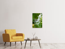 Laden Sie das Bild in den Galerie-Viewer, Leinwandbild Makro Blüte