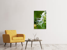 Laden Sie das Bild in den Galerie-Viewer, Leinwandbild Makro Blüte