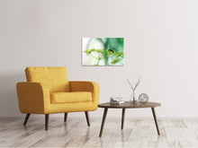 Laden Sie das Bild in den Galerie-Viewer, Leinwandbild XXL Pastinak