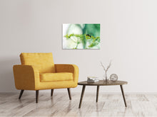 Laden Sie das Bild in den Galerie-Viewer, Leinwandbild XXL Pastinak
