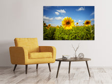 Laden Sie das Bild in den Galerie-Viewer, Leinwandbild Sommer-Sonnenblumen