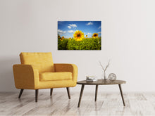 Laden Sie das Bild in den Galerie-Viewer, Leinwandbild Sommer-Sonnenblumen