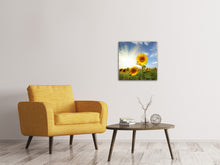Laden Sie das Bild in den Galerie-Viewer, Leinwandbild Sonnenblumen im Sonnenlicht