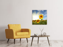 Laden Sie das Bild in den Galerie-Viewer, Leinwandbild Sonnenblumen im Sonnenlicht