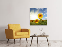 Laden Sie das Bild in den Galerie-Viewer, Leinwandbild Sonnenblumen im Sonnenlicht