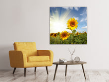 Laden Sie das Bild in den Galerie-Viewer, Leinwandbild Sonnenblumen im Sonnenlicht