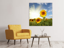 Laden Sie das Bild in den Galerie-Viewer, Leinwandbild Sonnenblumen im Sonnenlicht