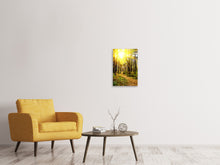 Laden Sie das Bild in den Galerie-Viewer, Leinwandbild Waldspaziergang in der Herbstsonne