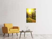 Laden Sie das Bild in den Galerie-Viewer, Leinwandbild Waldspaziergang in der Herbstsonne