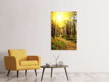 Laden Sie das Bild in den Galerie-Viewer, Leinwandbild Waldspaziergang in der Herbstsonne