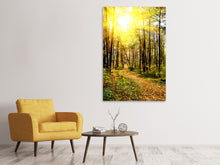 Laden Sie das Bild in den Galerie-Viewer, Leinwandbild Waldspaziergang in der Herbstsonne