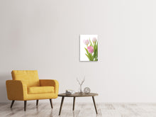 Laden Sie das Bild in den Galerie-Viewer, Leinwandbild Das Tulpentrio