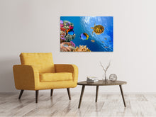 Laden Sie das Bild in den Galerie-Viewer, Leinwandbild Fisch im Wasser