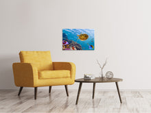 Laden Sie das Bild in den Galerie-Viewer, Leinwandbild Die Wasserschildkröte