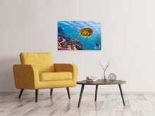 Laden Sie das Bild in den Galerie-Viewer, Leinwandbild Die Wasserschildkröte