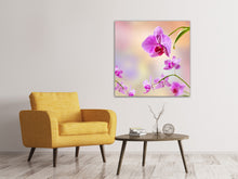 Laden Sie das Bild in den Galerie-Viewer, Leinwandbild Romantische Orchideen
