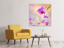 Laden Sie das Bild in den Galerie-Viewer, Leinwandbild Romantische Orchideen