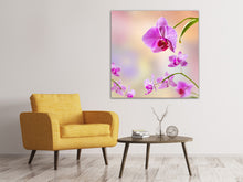 Laden Sie das Bild in den Galerie-Viewer, Leinwandbild Romantische Orchideen