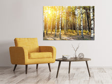 Laden Sie das Bild in den Galerie-Viewer, Leinwandbild Birkenwald