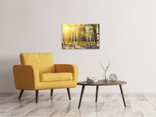 Laden Sie das Bild in den Galerie-Viewer, Leinwandbild Birkenwald