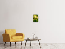 Laden Sie das Bild in den Galerie-Viewer, Leinwandbild Waldweg im Sonnenlicht