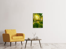 Laden Sie das Bild in den Galerie-Viewer, Leinwandbild Waldweg im Sonnenlicht