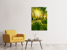 Laden Sie das Bild in den Galerie-Viewer, Leinwandbild Waldweg im Sonnenlicht
