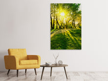 Laden Sie das Bild in den Galerie-Viewer, Leinwandbild Waldweg im Sonnenlicht