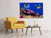 Laden Sie das Bild in den Galerie-Viewer, Leinwandbild Welt der Fische