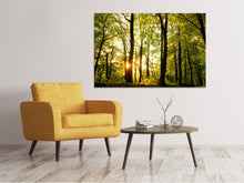 Laden Sie das Bild in den Galerie-Viewer, Leinwandbild Sonnenuntergang zwischen den Bäumen
