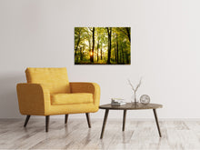Laden Sie das Bild in den Galerie-Viewer, Leinwandbild Sonnenuntergang zwischen den Bäumen