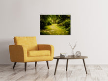 Laden Sie das Bild in den Galerie-Viewer, Leinwandbild Der bemooste Weg