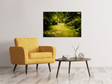 Laden Sie das Bild in den Galerie-Viewer, Leinwandbild Der bemooste Weg