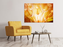 Laden Sie das Bild in den Galerie-Viewer, Leinwandbild Close Up Pusteblume im Licht