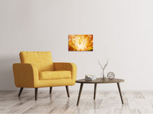 Laden Sie das Bild in den Galerie-Viewer, Leinwandbild Close Up Pusteblume im Licht